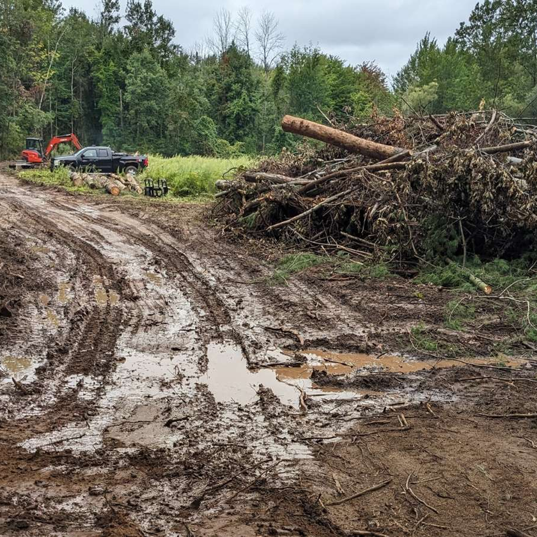 Professional land clearing and lot grubbing services in FL